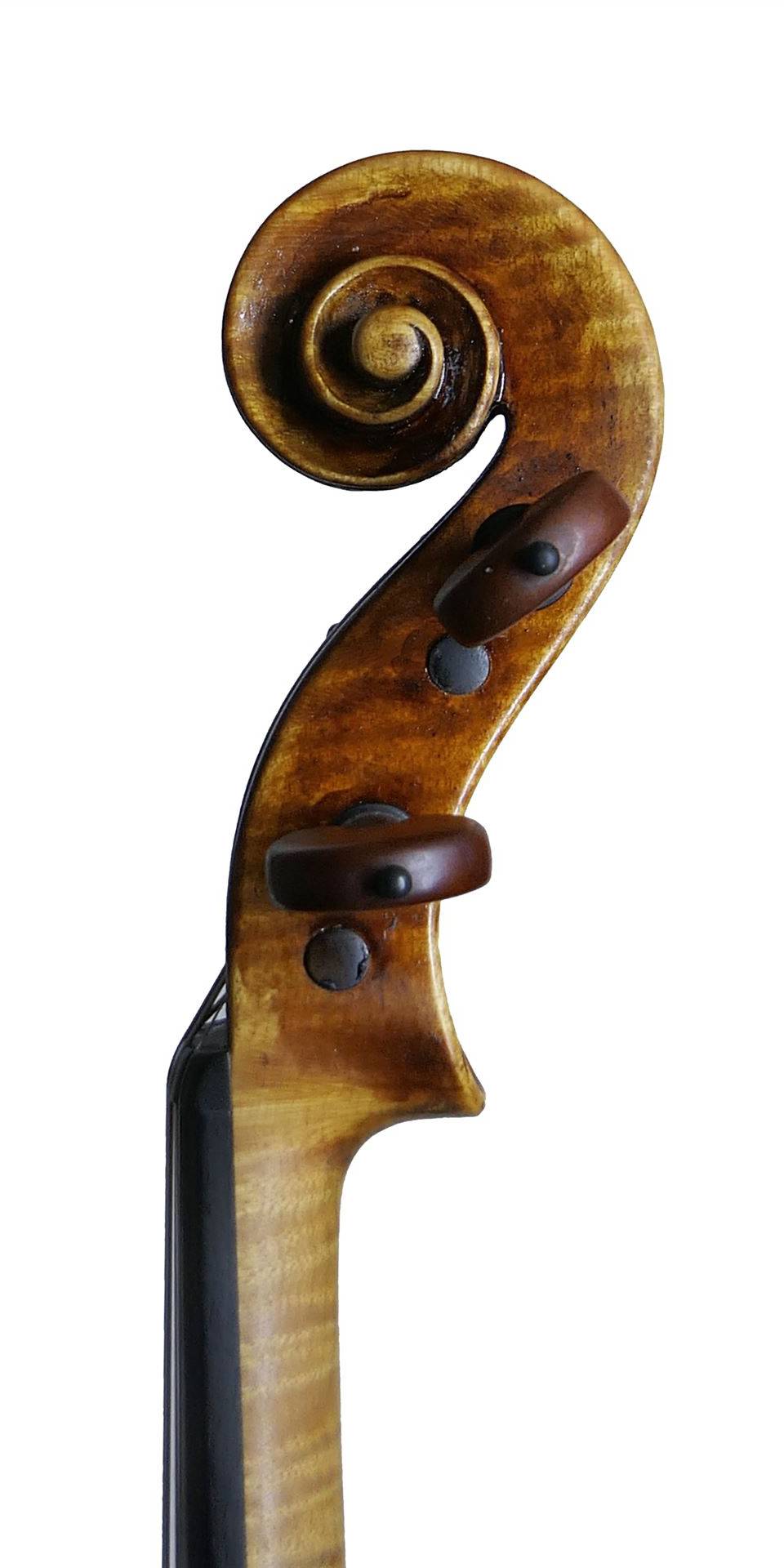 Geigenbau Impressionen